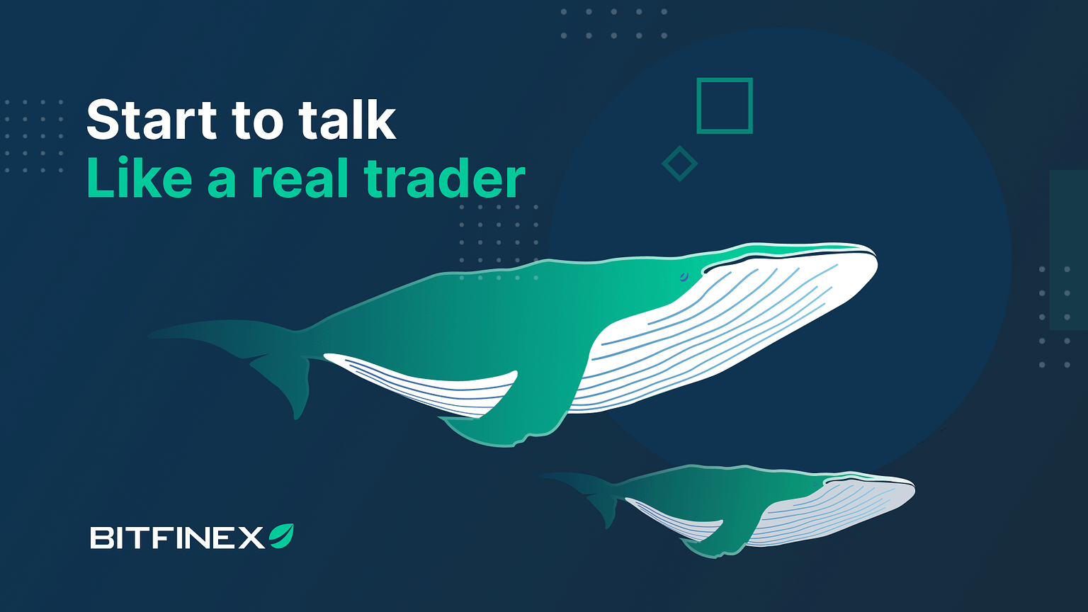 BFX Blogpost Understanding traders talk01 Wide